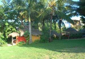 Apart Hotel Ali s Surfcamp Tropical Garden Apart Hotel Ali s Surfcamp Tropical Garden